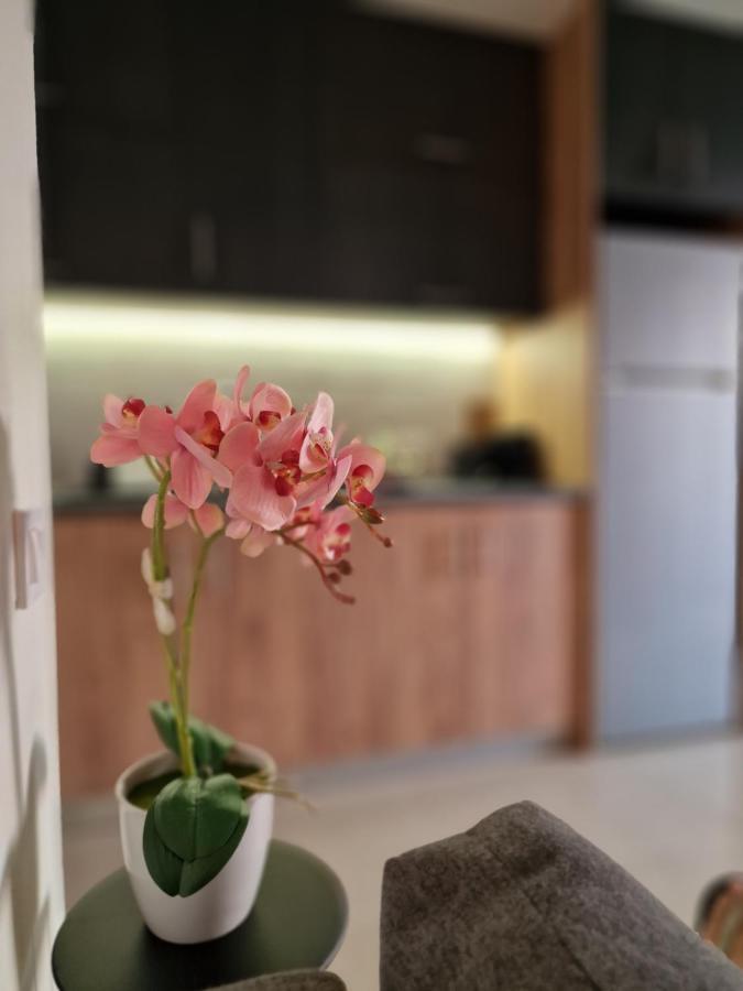 S N G/ Best View Apartment 키사모스 외부 사진